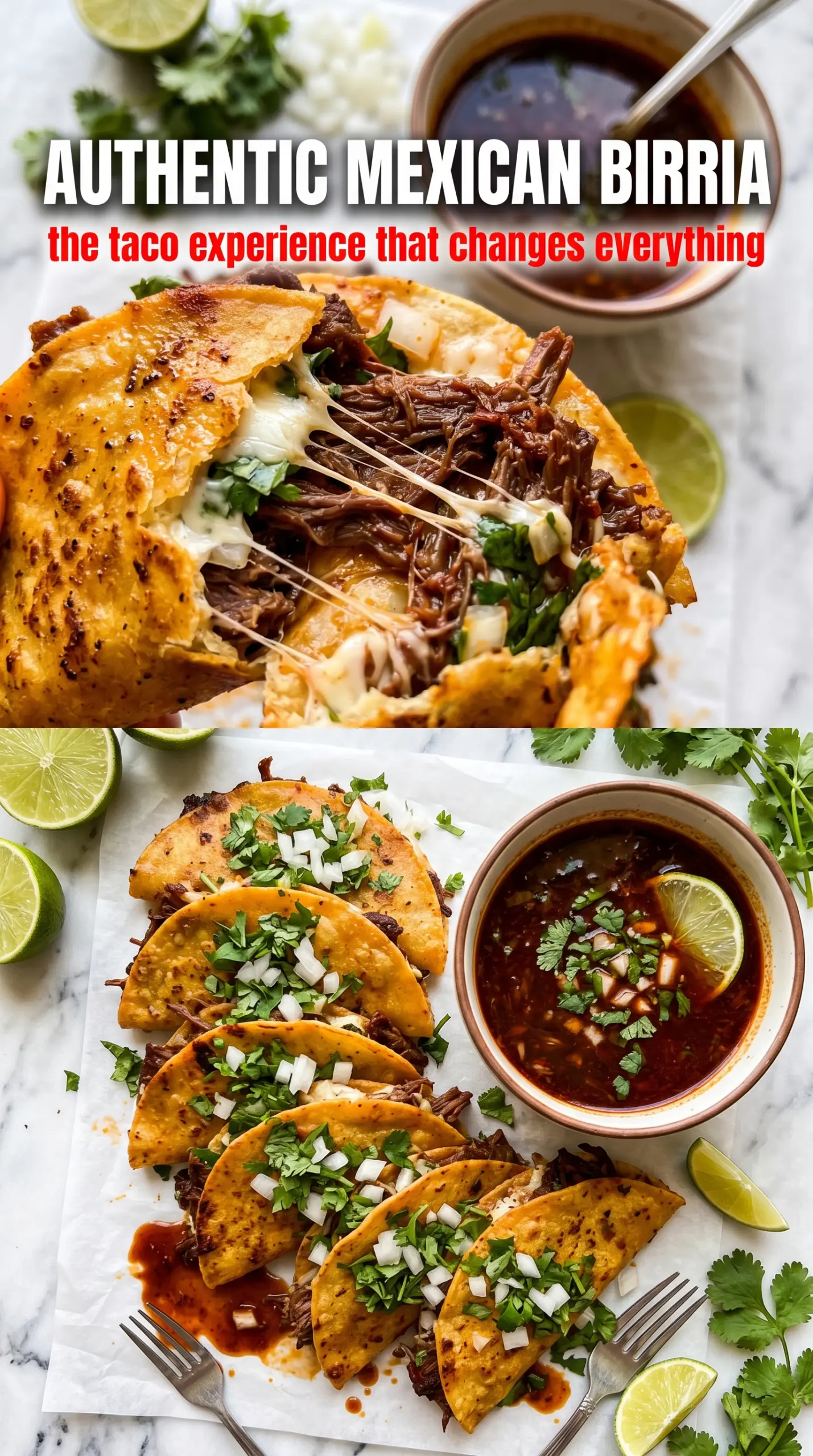 Authentic Mexican Birria rich broth tender beef