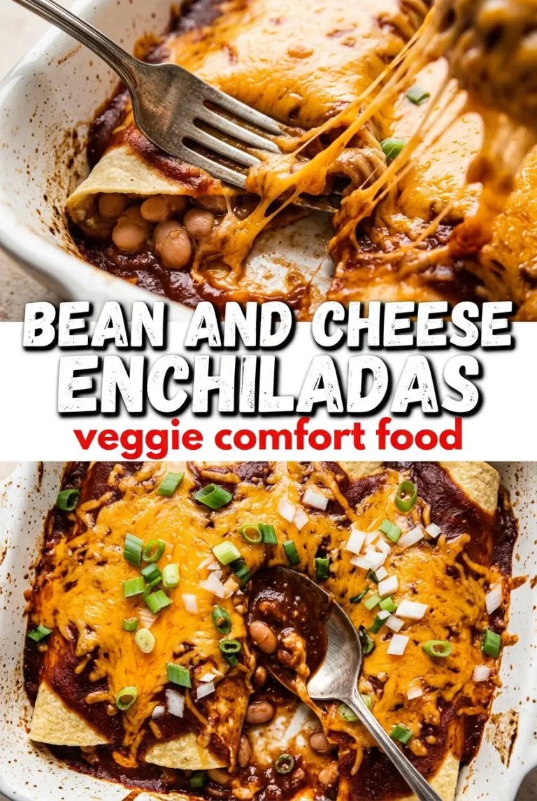 Bean and Cheese Enchiladas