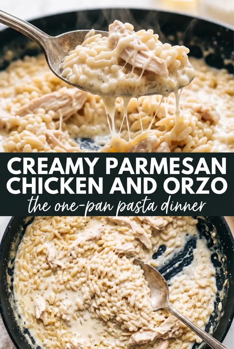 Creamy Parmesan Chicken and Orzo
