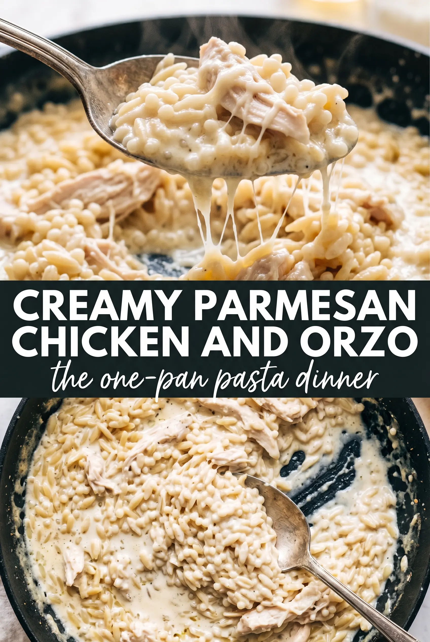 Creamy Parmesan Chicken and Orzo
