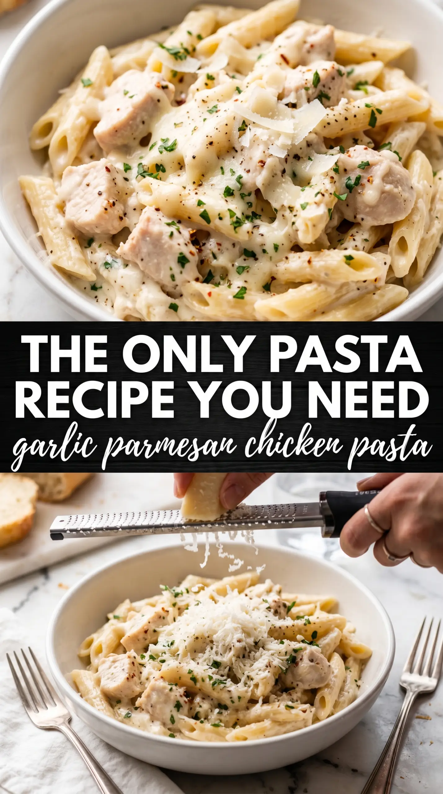 Creamy pasta with sauce coating noodles
